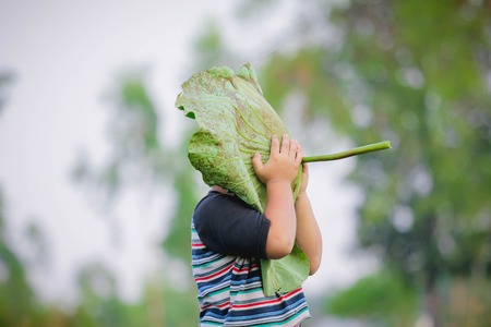Little boy playing lotus leaf, Asian baby face off lotus leaf at countryside in Thailand.の写真素材