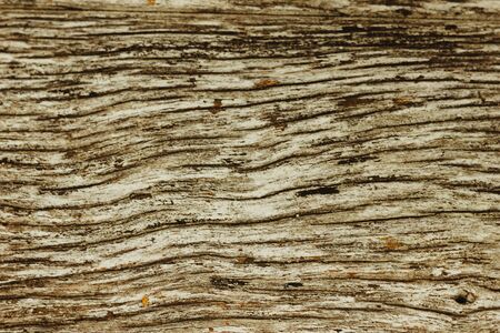 Wood texture backgroundの写真素材