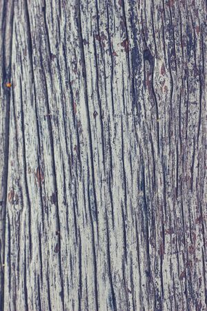 Wood texture backgroundの写真素材