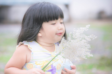 Happy asian little girl holding grass flower , Cute little asian girl and grass flower in her hand, Asian Thailand , Outdoor portrait.の写真素材