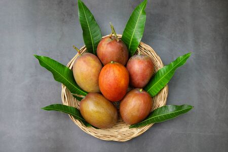 Cute Asian girl with delicious mangoes, A lovely Asian girl with delicious purple mango.の写真素材
