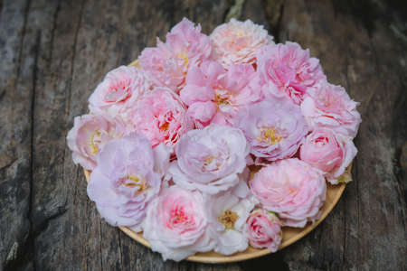 rose , home decoration rosesの写真素材