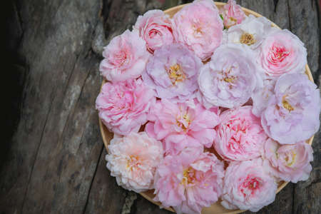 rose , home decoration rosesの写真素材
