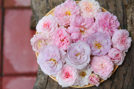 rose , home decoration rosesの写真素材