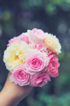 rose , home decoration rosesの写真素材