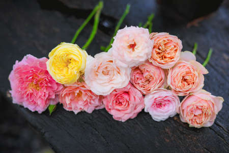 rose , home decoration roses,rose bouquetの写真素材