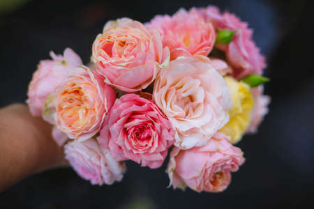 rose , home decoration roses,rose bouquetの写真素材