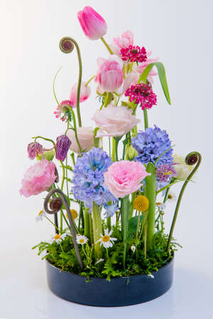 Colorful flower arrangement in front of white background, (tulip, hyacinth, orchid, fern,Texas bluebells, carnation)の写真素材