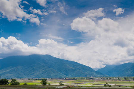 Landscape View Of Beautiful Rice Fields At Brown Avenue, Chishang, Taitung, Taiwanの写真素材