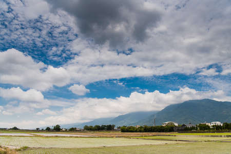Reflection of paddy fields, mirror of the sky, Landscape View Of Beautiful Rice Fields At Brown Avenue, Chishang, Taitung, Taiwanの写真素材