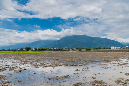Reflection of paddy fields, mirror of the sky, Landscape View Of Beautiful Rice Fields At Brown Avenue, Chishang, Taitung, Taiwanの写真素材