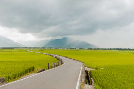 Landscape View Of Beautiful Rice Fields At Brown Avenue, Chishang, Taitung, Taiwan.