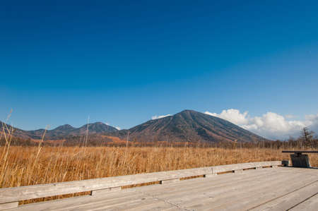 Autumn at Senjogahara plateau in Nikko national park, Nikko Tochigi, Japan ( Ecological engineering methods )の写真素材