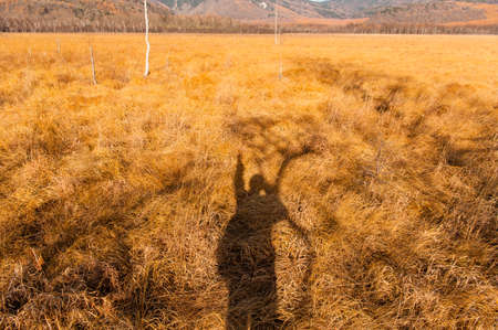 Shadow of a person on the grassland, Autumn at Senjogahara plateau in Nikko national park, Nikko...