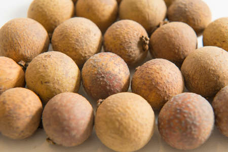 longan on desk