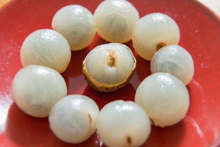 Peeled longan on a red porcelain plateの写真素材