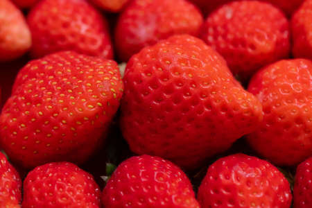 Fresh strawberries are neatly arranged and packed in cartonsの写真素材
