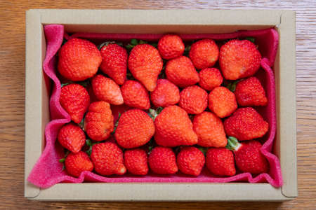 Fresh strawberries are neatly arranged and packed in cartonsの写真素材