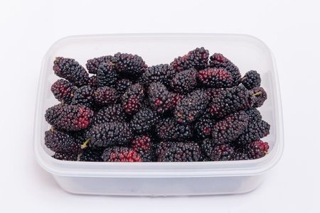Freshly harvested mulberries on white background.の写真素材