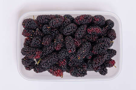 Freshly harvested mulberries on white background.の写真素材