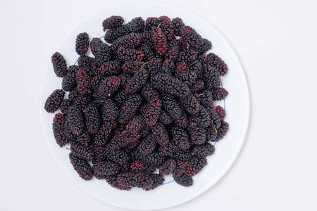 Freshly harvested mulberries on white background.の写真素材
