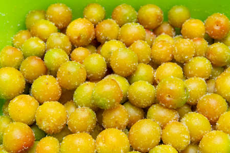 Preserved Fruit Dried Plum Salty Sweet, sun-dried and salted plums for candied fruit.の写真素材
