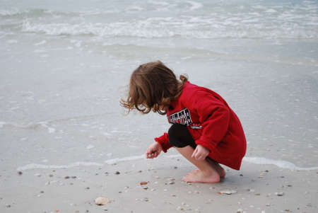 young child hunting for sea shell