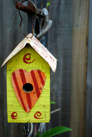 bright bird house
