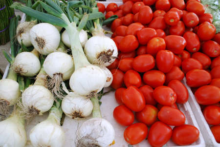 onions and tomatos as freash as you getの写真素材