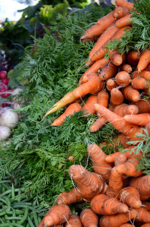 Bunches of organic carrots at the framers market.の写真素材