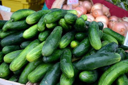 Fresh cucumbers and oions at weekend framers market.の写真素材