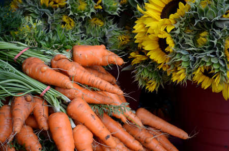 Bunches of carrots and sunflowers at the farmers marketの写真素材