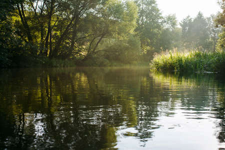 River flowing in the forest in Russiaの写真素材