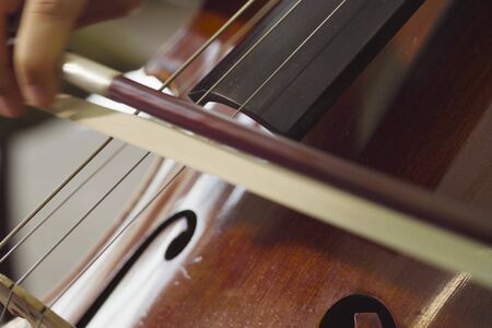 Close up of women's hands playing violoncelloの写真素材