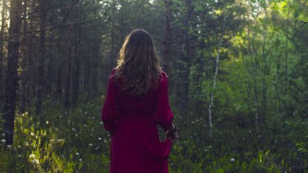 Young woman in red dress walking in the forestの写真素材