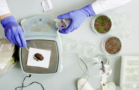 The scientists hands weighing soil sampleの写真素材