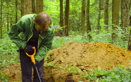 Scientist ecologist in a forest digging soil slitの写真素材