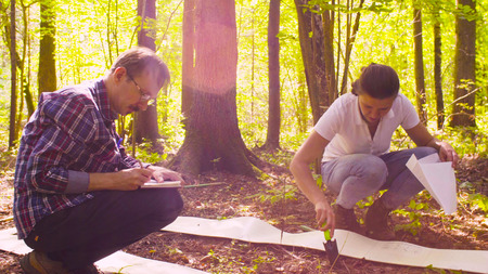 The man ecologist describes the plants inside the square marking site.