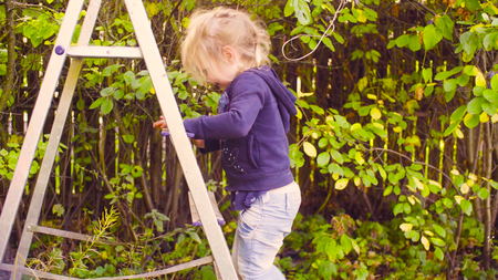 Little girl climbing up and a ladderの写真素材