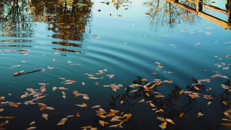 Autumn landscape, lake in the park. Fall seasonの写真素材