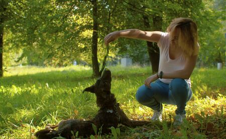 Young attractive lady playing with her dog in the park at summer. Woman throwing a grass on a dog's...