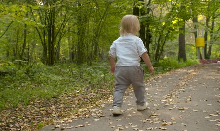 Little cute boy walking along the road in the park. Early autumn, yellow leaves on the roadの写真素材