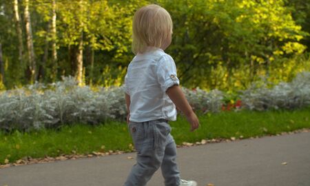 Cute toddler walking along the road in the park. Early autumn, yellow leaves on the road. Rear viewの写真素材
