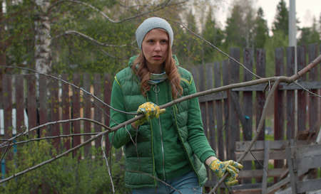 Young beautiful woman collecting firewood in the courtyard of a country house. Woman carrying a tree...