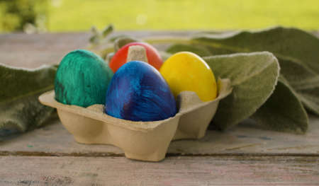 Close up multicolored painted Easter eggs in egg box and rabbits ear plant on wooden table in the...