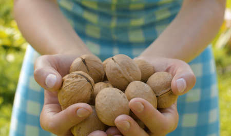 Close up fresh brown eggs in female hands. Rural life, harvestingの写真素材