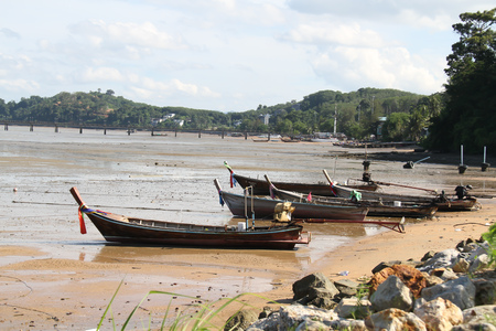 The life  cloure the natureの写真素材