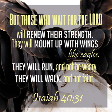 But those who wait for the Lord will renew their strength. They will mount up with wings like...