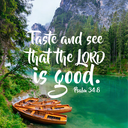 Psalm 34:8 Taste and see that the Lord is goodの写真素材