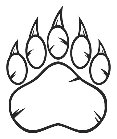 Black And White Bear Paw With Clawsの写真素材